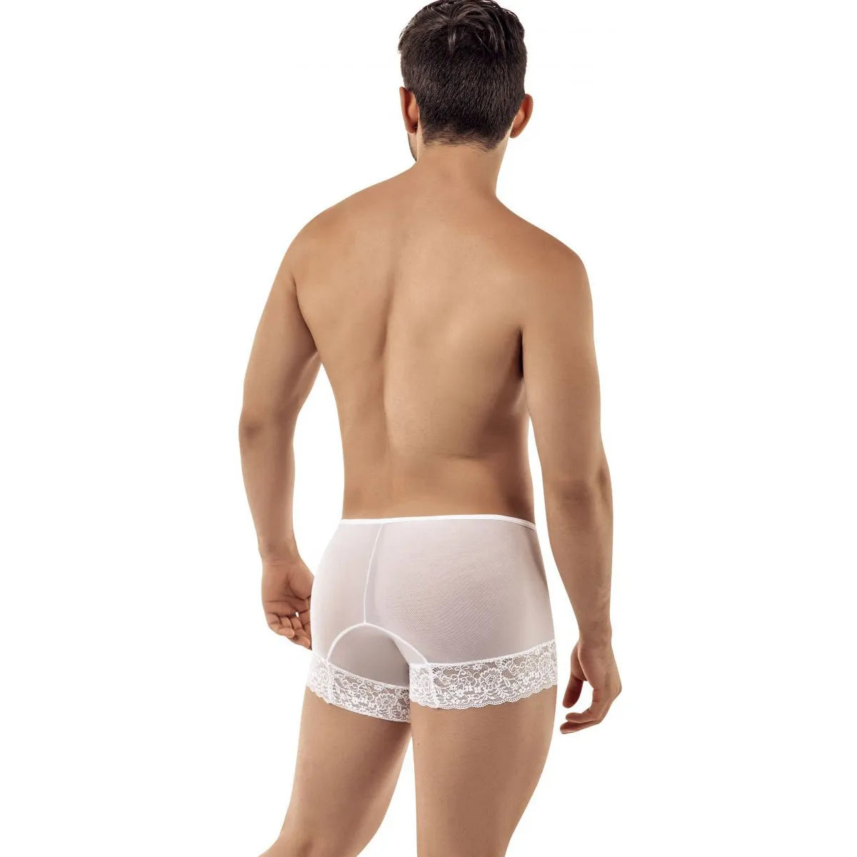 Men’s Sheer Mesh Trunk Brief – Ultra Low Rise Exotic Men’s Underwear