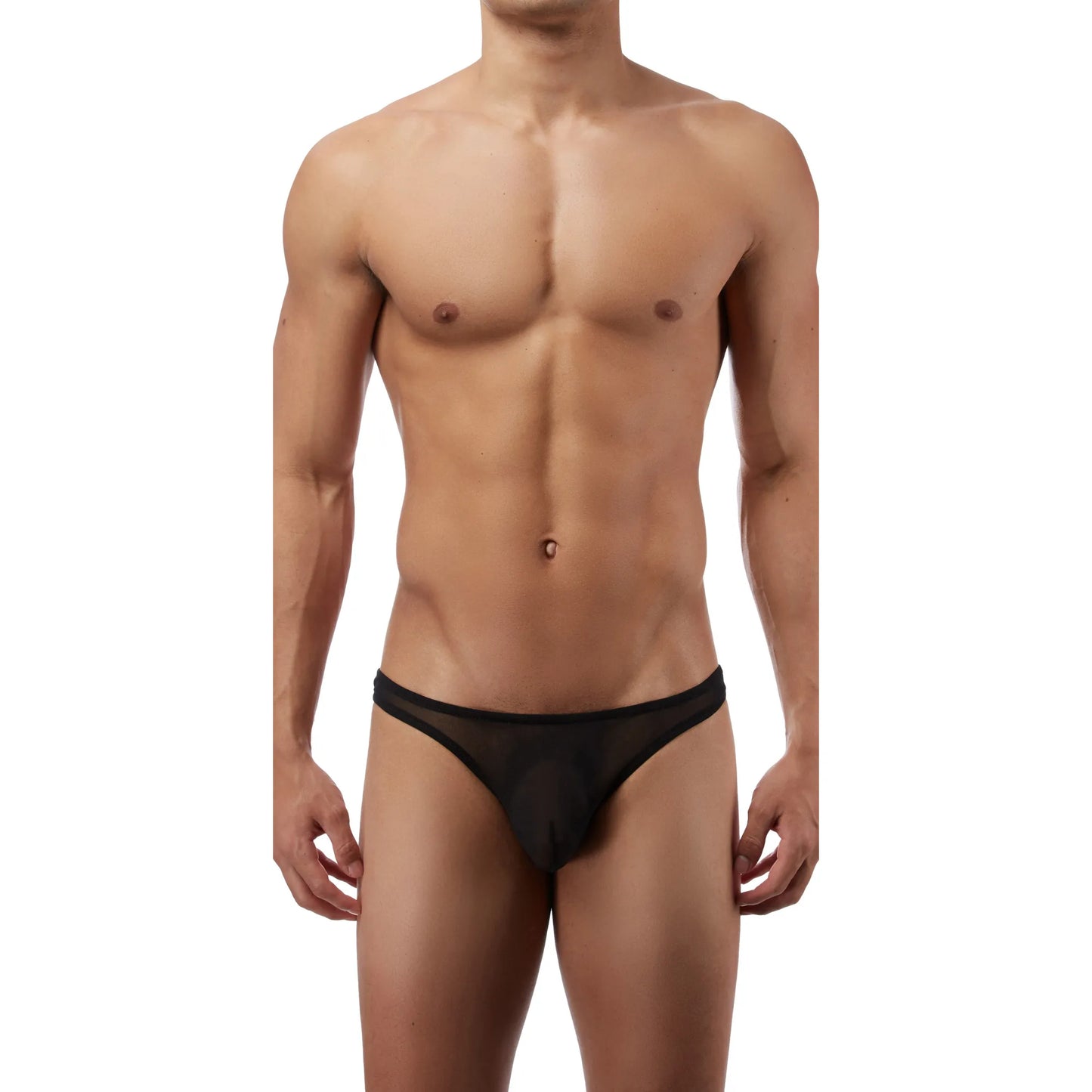 Men’s Sheer Mesh Low Rise Bikini Brief
