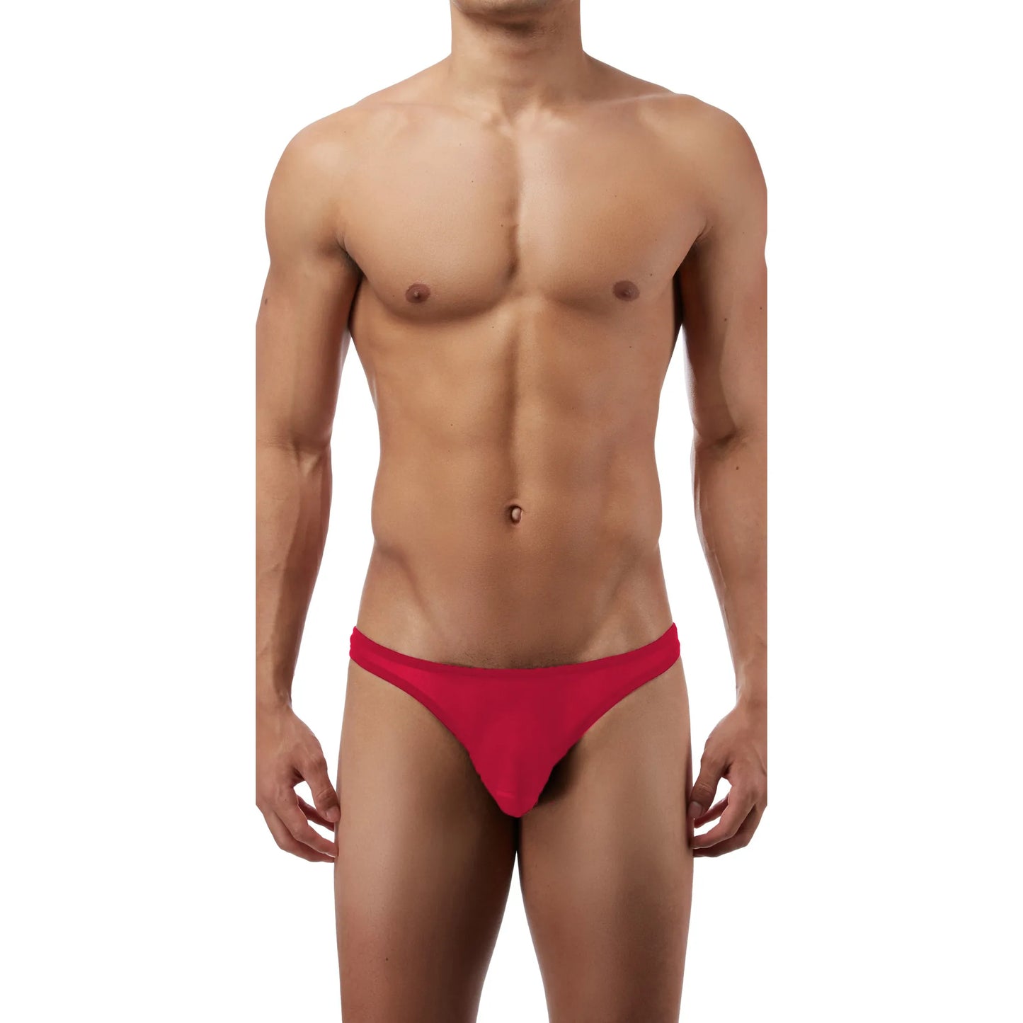 Men’s Sheer Mesh Low Rise Bikini Brief