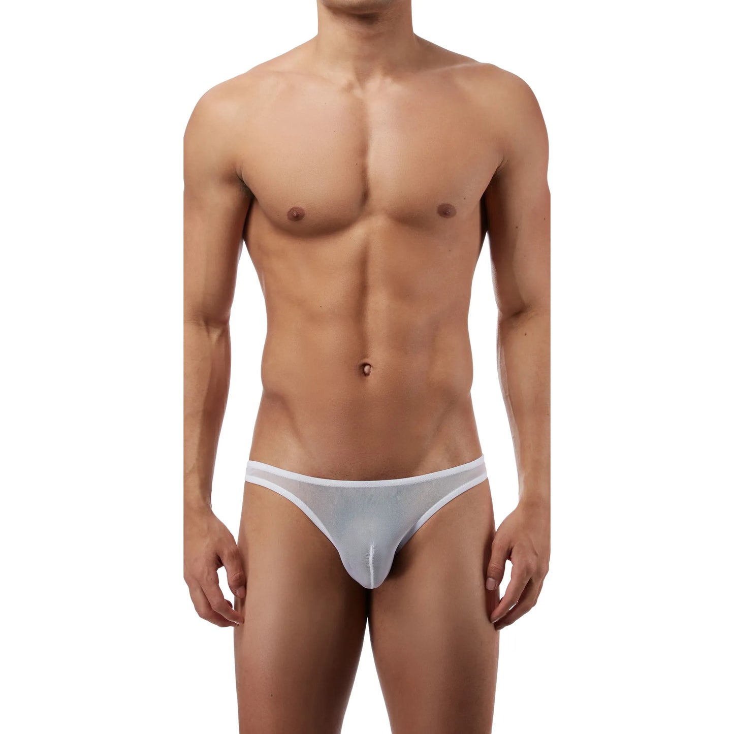 Men’s Sheer Mesh Low Rise Bikini Brief