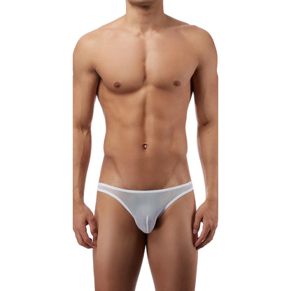Men’s Sheer Mesh Low Rise Bikini Brief