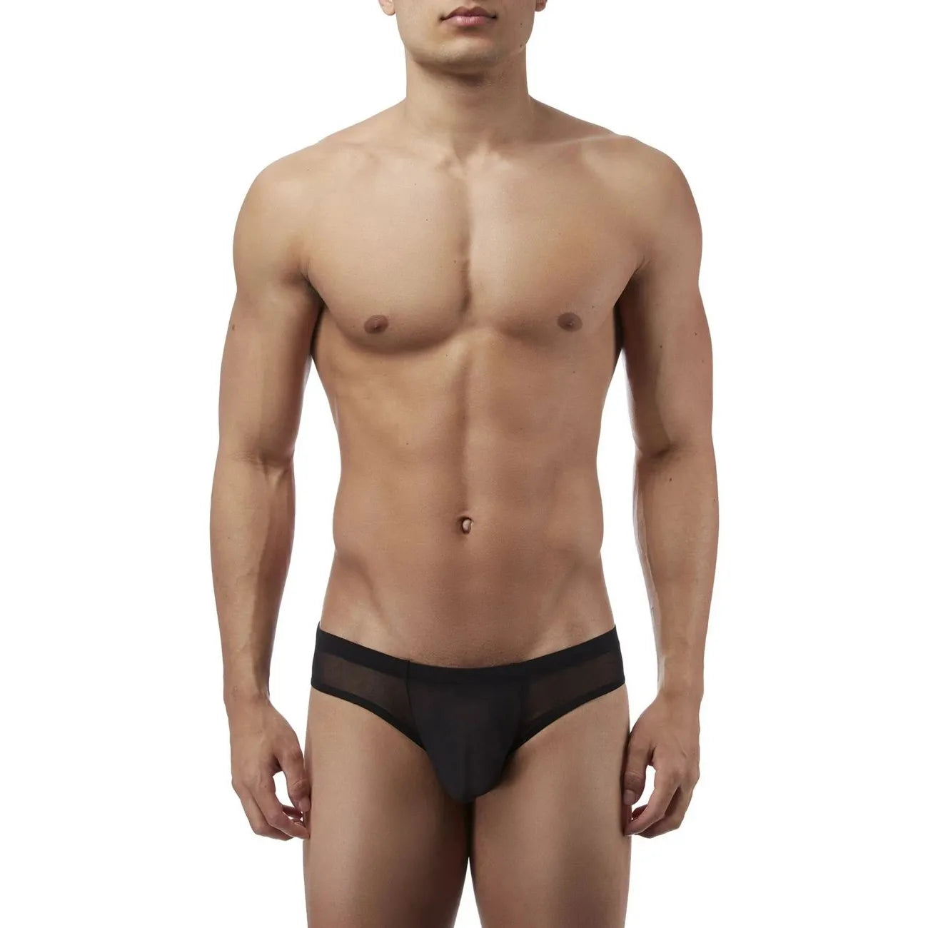 Men’s Sheer Mesh Low Rise Brief