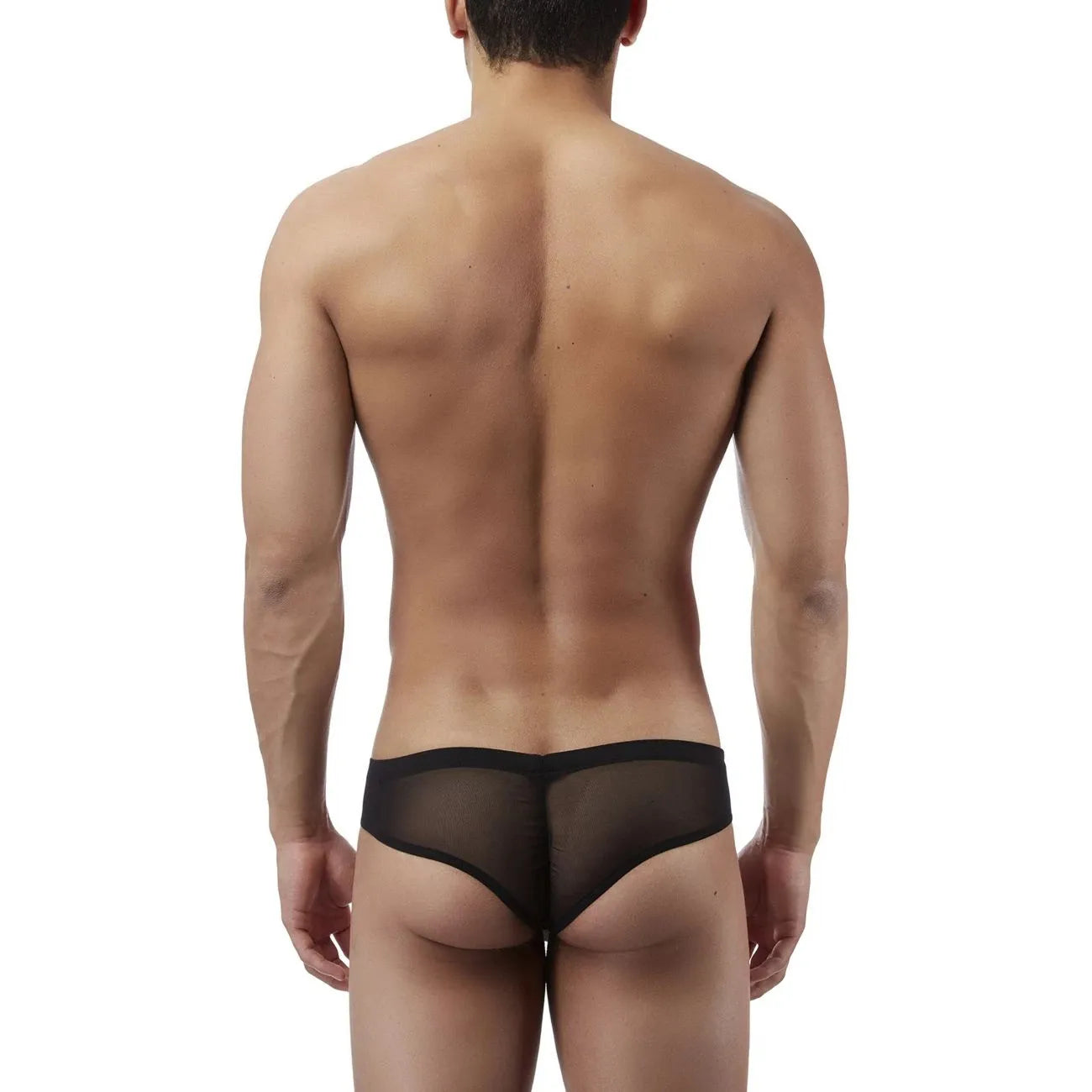 Men’s Sheer Mesh Low Rise Brief