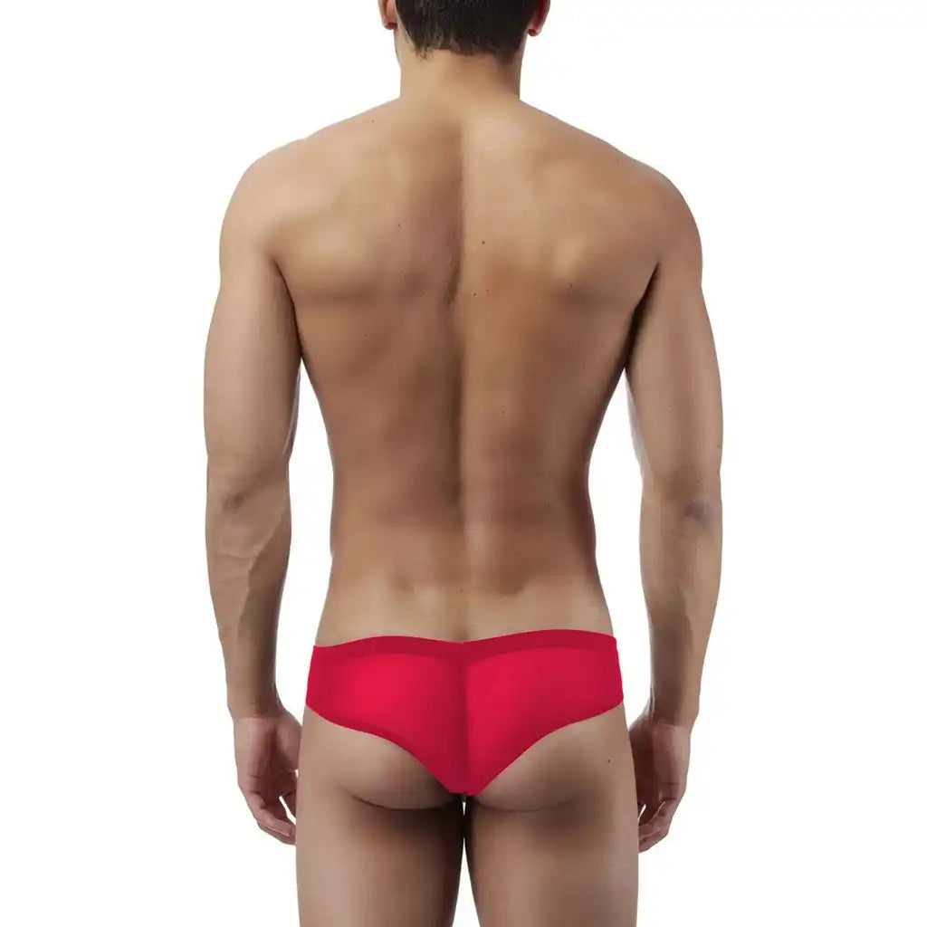 Men’s Sheer Mesh Low Rise Brief