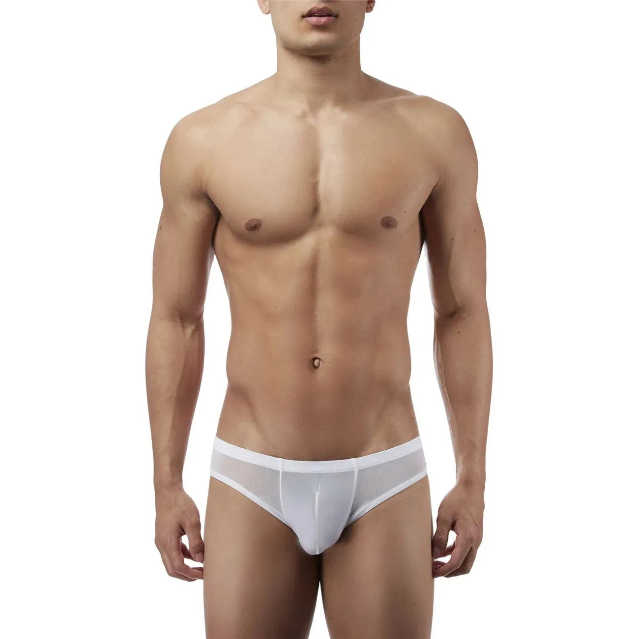 Men’s Sheer Mesh Low Rise Brief