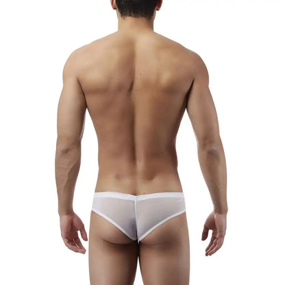 Men’s Sheer Mesh Low Rise Brief