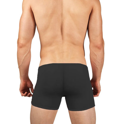 Men's Sheer Mesh Boxer Brief Shorts - Ultra Lightweight Stretch Fit Transparent Men's Innerwear
