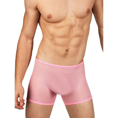 Men's Sheer Mesh Boxer Brief Shorts - Ultra Lightweight Stretch Fit Transparent Men's Innerwear