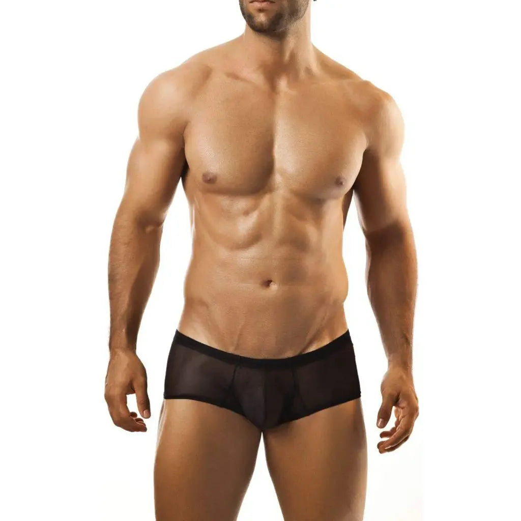 Men's Sheer Mesh Low-Rise Brief - Lightweight Stretch Fit Breathable Designer Men's Innerwear