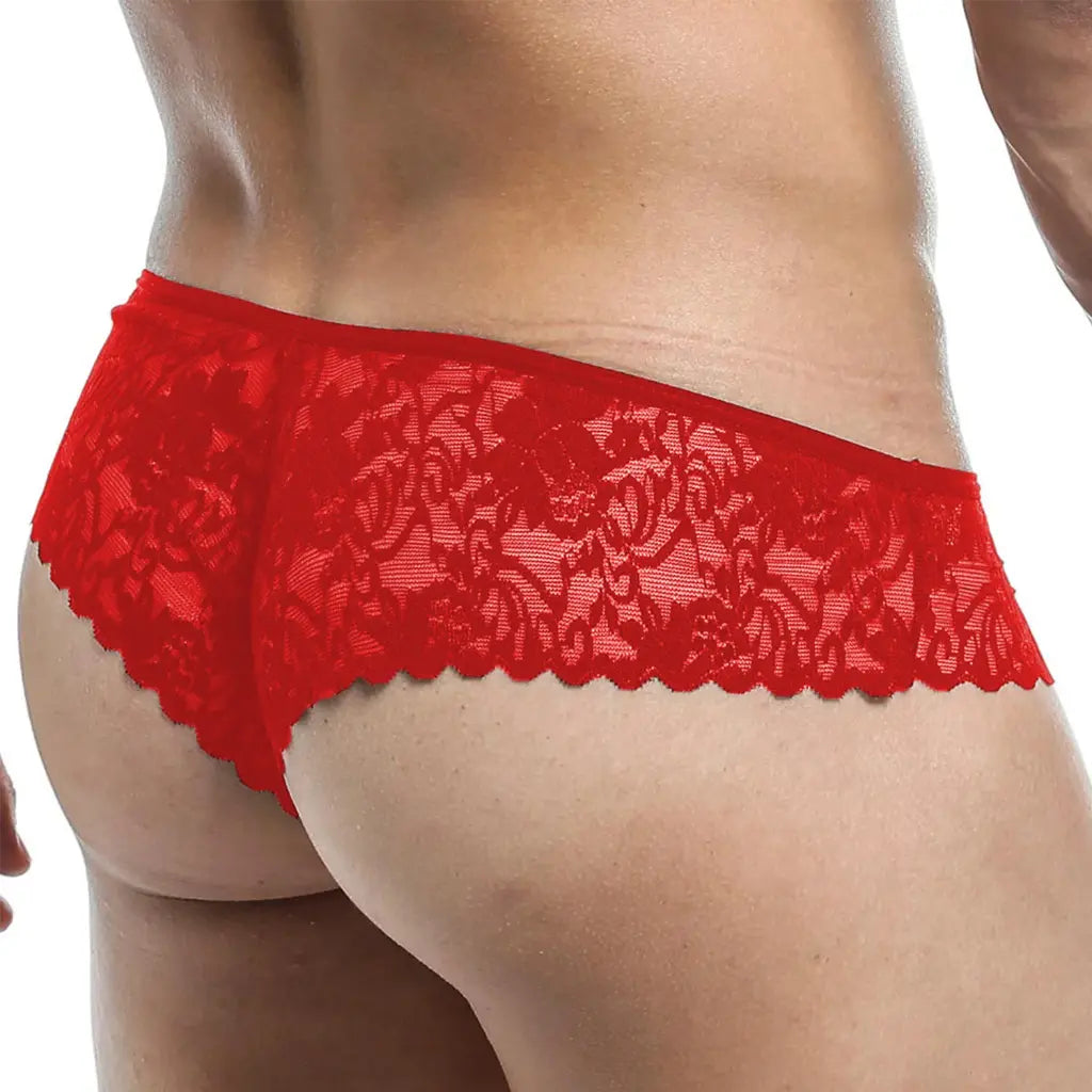 Men’s Sheer Lace Trunk Brief – Ultra Low Rise Exotic Men’s Underwear