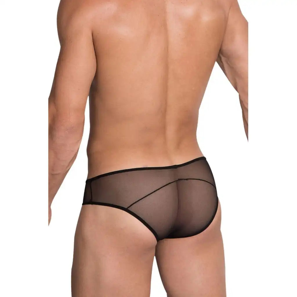 Men’s Sheer Mesh Bikini Brief – Transparent Low Rise Lingerie
