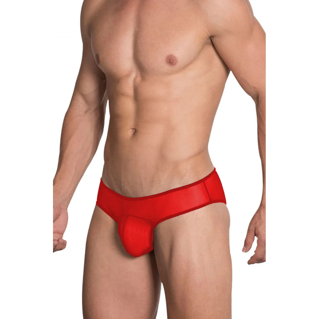 Men’s Sheer Mesh Bikini Brief – Transparent Low Rise Lingerie