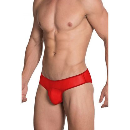 Men’s Sheer Mesh Bikini Brief – Transparent Low Rise Lingerie