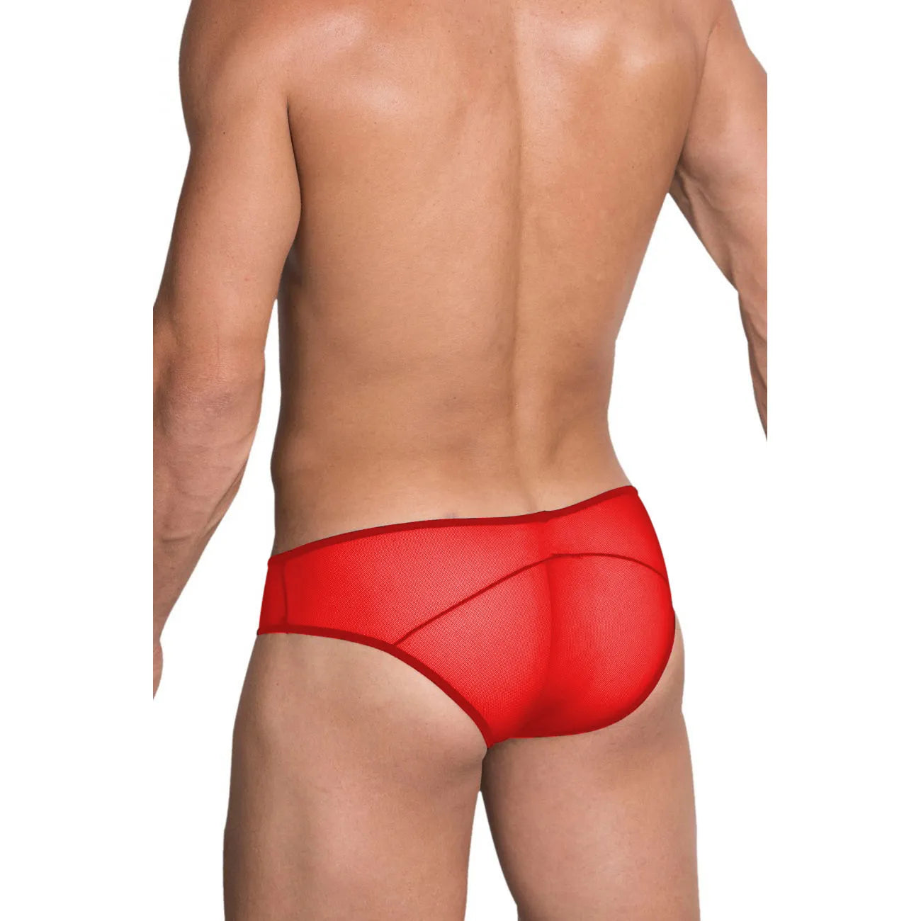 Men’s Sheer Mesh Bikini Brief – Transparent Low Rise Lingerie